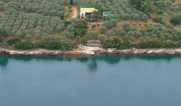 Εξωτερική όψη - Outdoor view